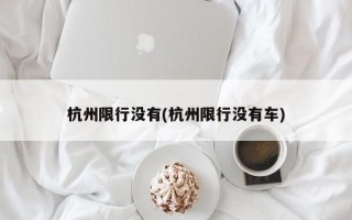 杭州限行没有(杭州限行没有车)