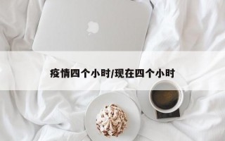 疫情四个小时/现在四个小时