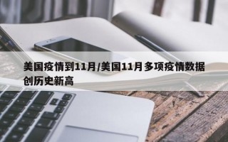 美国疫情到11月/美国11月多项疫情数据创历史新高