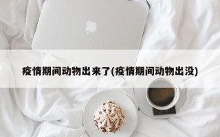 疫情期间动物出来了(疫情期间动物出没)