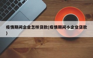 疫情期间企业怎样贷款(疫情期间小企业贷款)