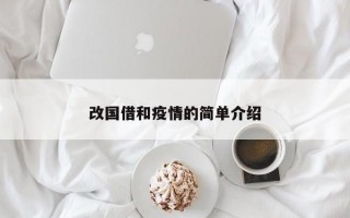 改国借和疫情的简单介绍