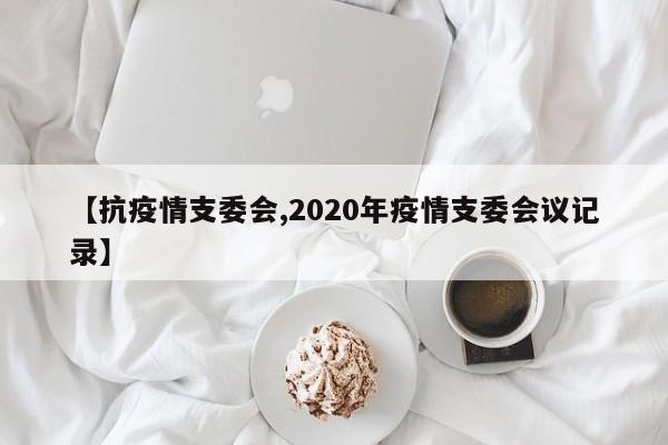 【抗疫情支委会,2020年疫情支委会议记录】-第1张图片-金港湾