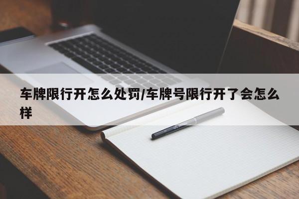 车牌限行开怎么处罚/车牌号限行开了会怎么样-第1张图片-金港湾